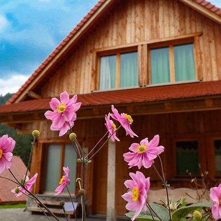 Dolomiti Village Comeglians Dış mekan fotoğraf