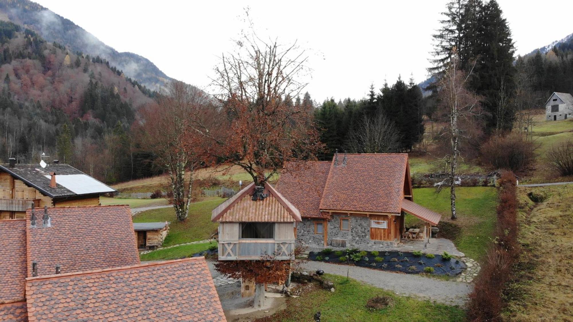 Dolomiti Village Comeglians Oda fotoğraf